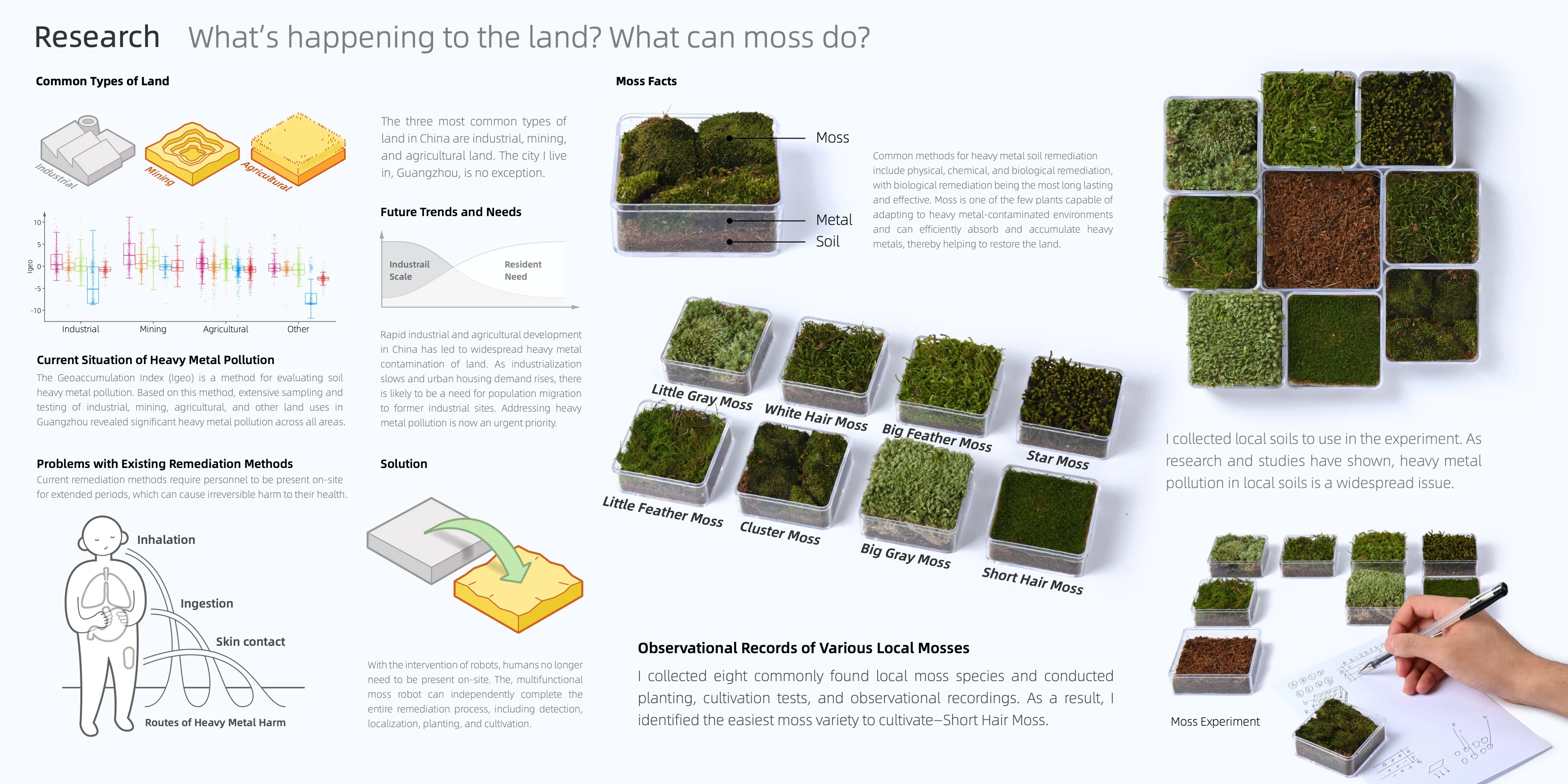 MOSS — image 2 of 6