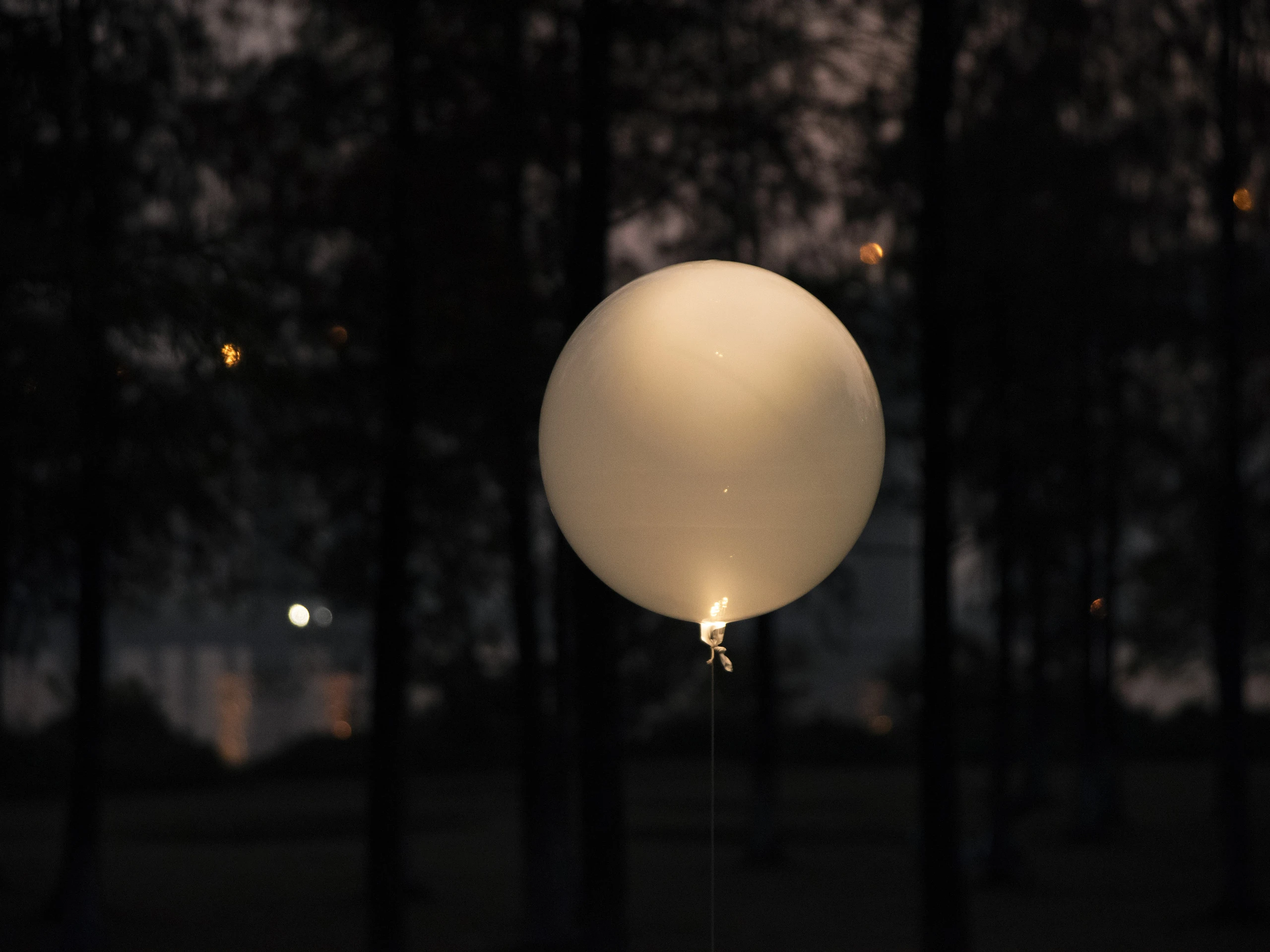 Float — image 1 of 7