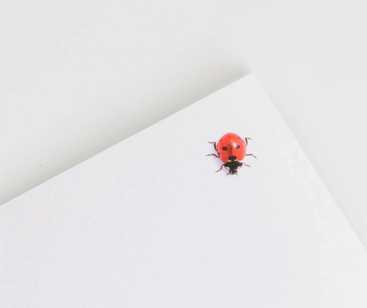 Where Did It Go? — image 1 of 5