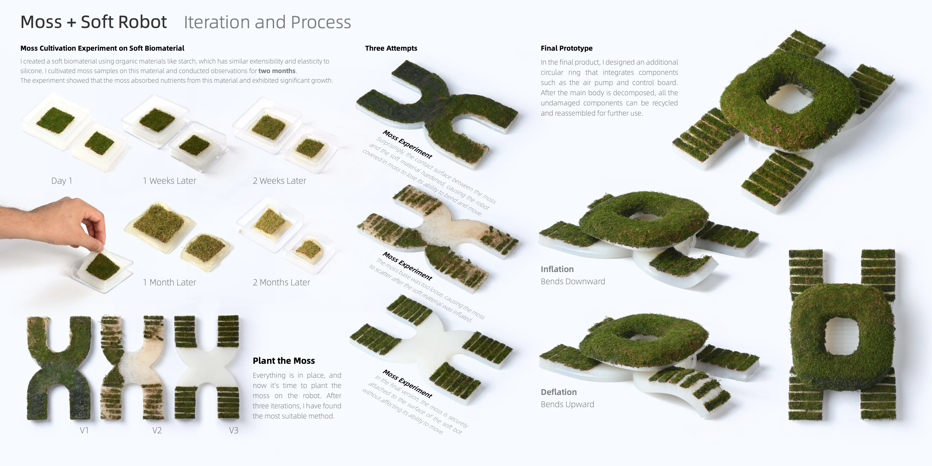 MOSS — image 4 of 6